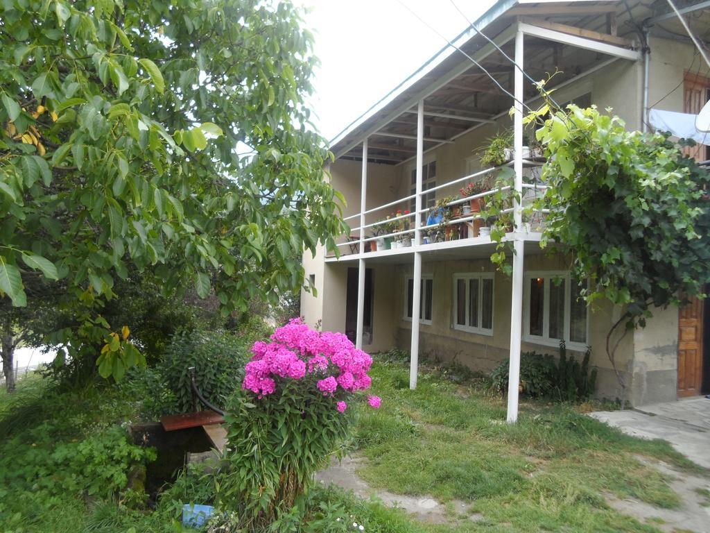 Guesthouse Am Museum Mestia Dış mekan fotoğraf